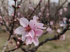 -白塘生态植物园