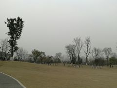 -府河摄影公园