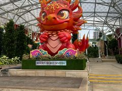 -圣淘沙名胜世界