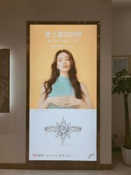 点击看大图 -钻石小鸟钻戒婚戒定制(石路店)