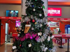 -国文影城(上海闸北店)