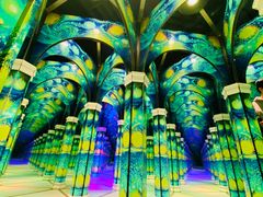 -天津梵高星空艺术馆(天河城旗舰店)