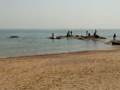 android_upload_pic-日照灯塔风景区