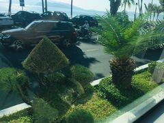 -芽庄喜来登水疗酒店