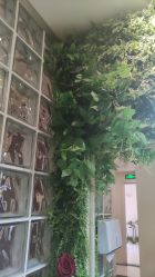 -香秀空间科技抗衰·美容中心