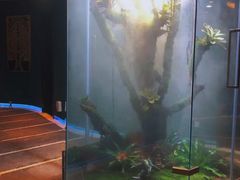 -泰悠谷养生SPA(世茂商业街店)
