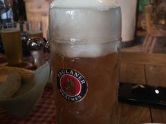 -Paulaner·德国帕拉娜自酿啤酒餐厅(海上世界店)