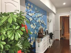 -scarlet斯卡莱美容护理机构