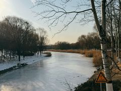 -大兴滨河森林公园