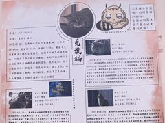 -青藏高原野生动物园