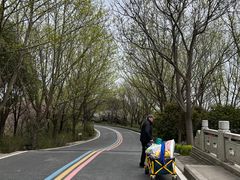 -同里国家湿地公园