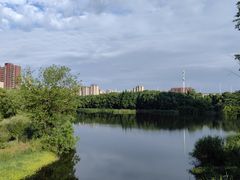 -四里河滨水生态公园