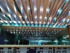 -Swim斯卫姆国际儿童游泳中心(红博中央公园店)