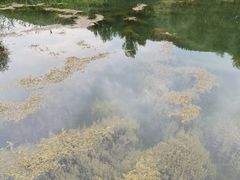 -百里山水画廊