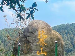 -南山植物园