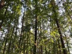 -柳莺湖上·湖景餐厅·江南菜(西湖店)