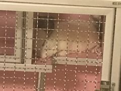 -瑞派·关忠动物医院·异宠专科·犬猫肿瘤·皮肤专科(望京店)