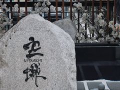 -空蝉怀石料理(益丰·外滩源店)