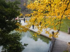 -佛荫寺