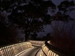 -福道
