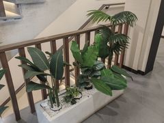 -巢湖名吃·东关老鹅汤(江南风情街店)