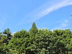 -太阳宫公园
