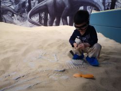 -恐龙探索乐园(磁器口店)