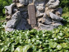 -日照海滨国家森林公园