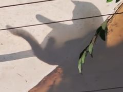 -西郊宾馆·1921餐厅