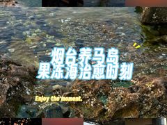 -养马岛旅游度假区