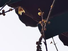 -丰台花园