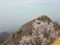 -终南山南五台景区