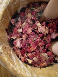 -大美臻喜母婴(重庆创始店)