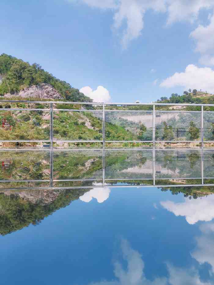 "-大众点评移动版