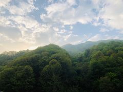 -青峰峡国家森林公园