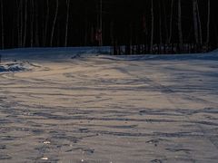 -北极村旅游风景区