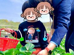 -丹樱生态园
