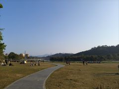 -风云岭森林公园