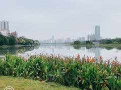 -南宁南湖公园