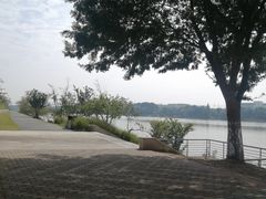 -羊山湖公园