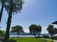 -杭州西湖柳莺里酒店·闻莺厅