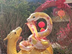 -越秀西湖花市(广州城市广场花卉店)