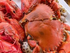 -蓝湾碧波·老字号·疍家非遗海上餐厅