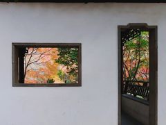 -秋霞圃