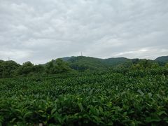 -西湖风景区十里琅珰-五云山