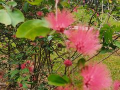 -中国科学院西双版纳热带植物园
