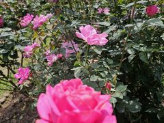 -人民公园(罗湖区)