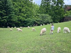 -神户市立六甲山牧场