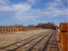 iphone_upload_pic-塞罕坝国家级自然保护区