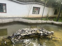 -红螺寺